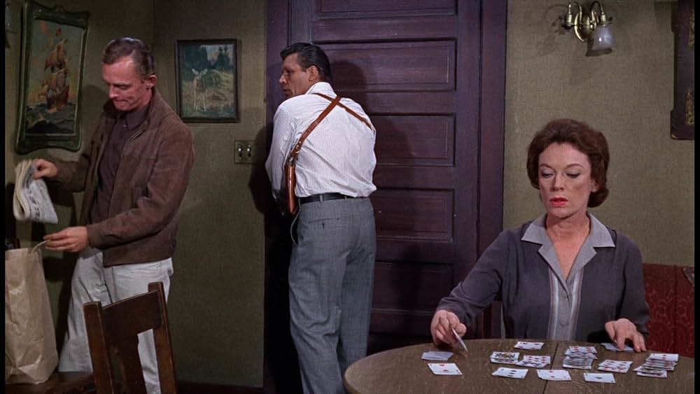 シャム猫FBI／ニャンタッチャブルの画像