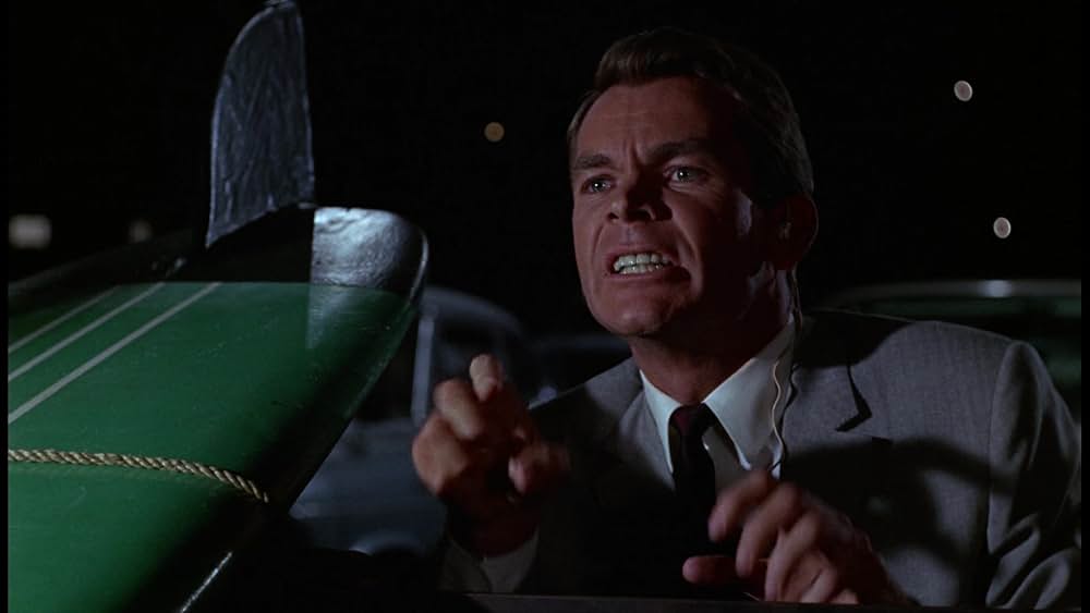 シャム猫FBI／ニャンタッチャブルの画像