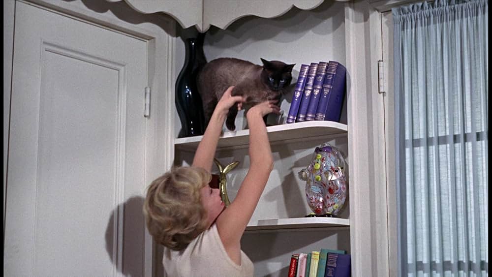 シャム猫FBI／ニャンタッチャブルの画像