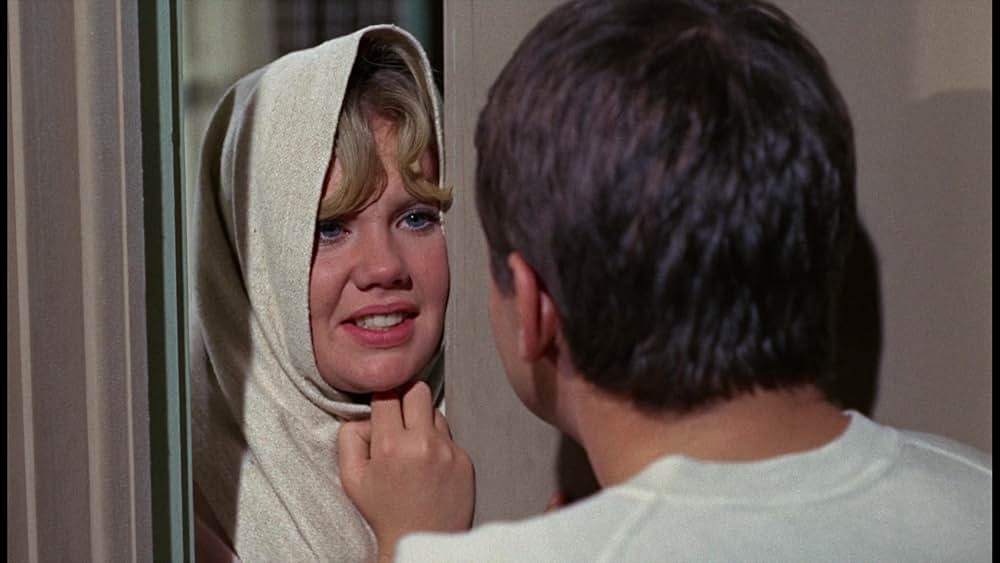 シャム猫FBI／ニャンタッチャブルの画像