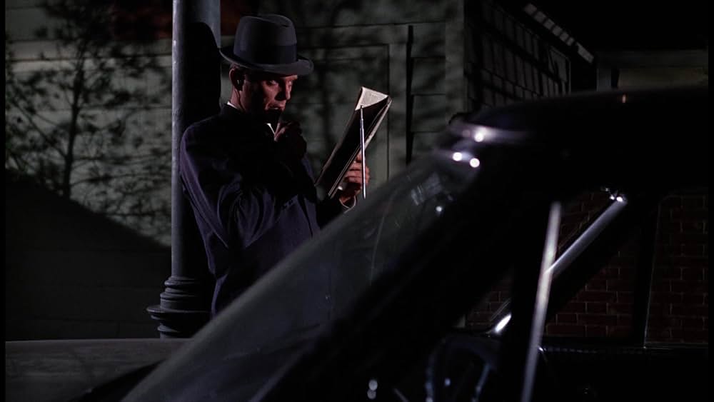 シャム猫FBI／ニャンタッチャブルの画像