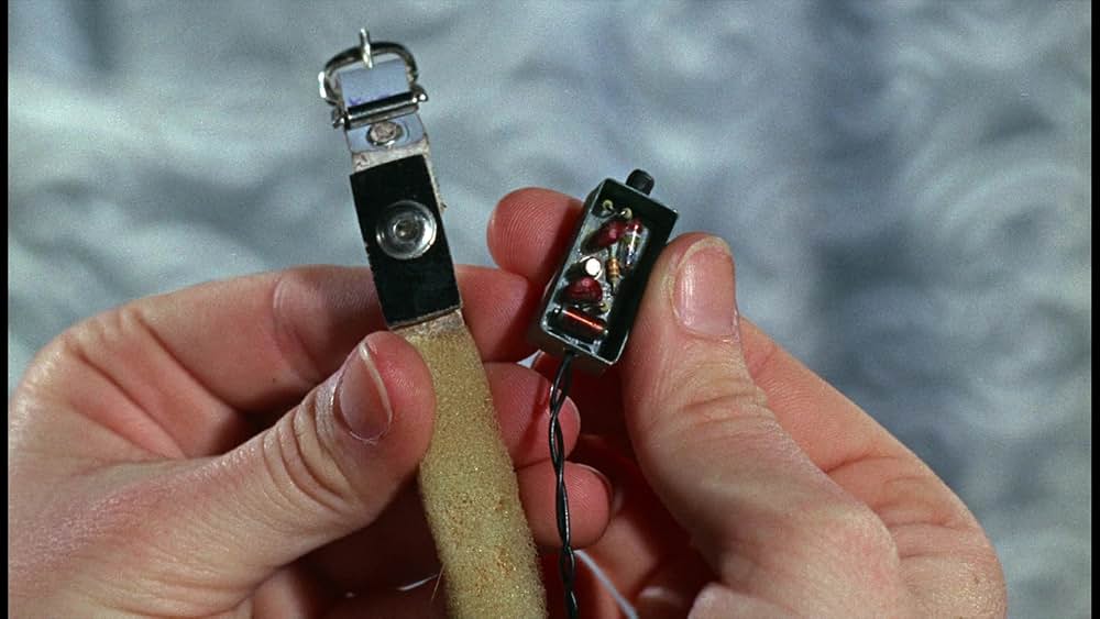 シャム猫FBI／ニャンタッチャブルの画像