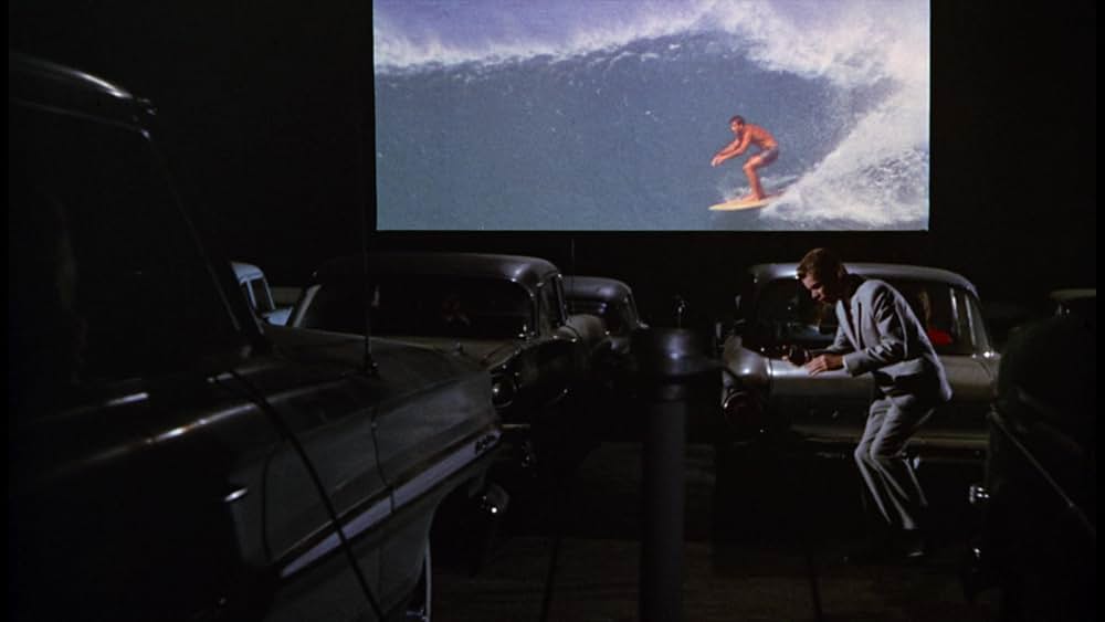 シャム猫FBI／ニャンタッチャブルの画像