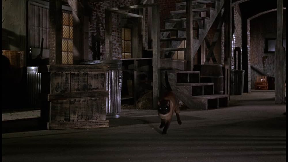 シャム猫FBI／ニャンタッチャブルの画像