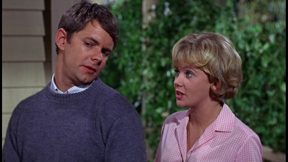 シャム猫FBI／ニャンタッチャブルの画像