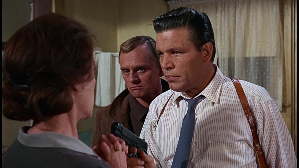 シャム猫FBI／ニャンタッチャブルの画像