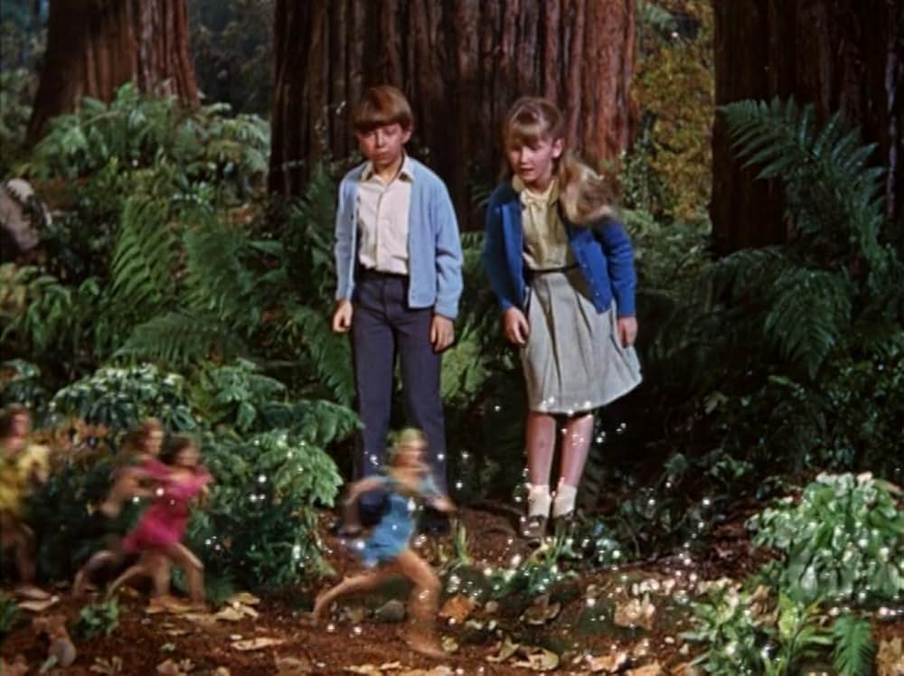 小びとの森の物語の画像