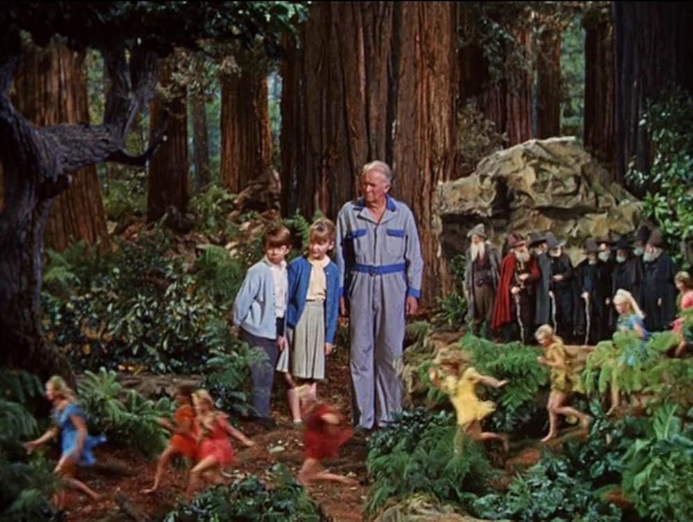 小びとの森の物語の画像