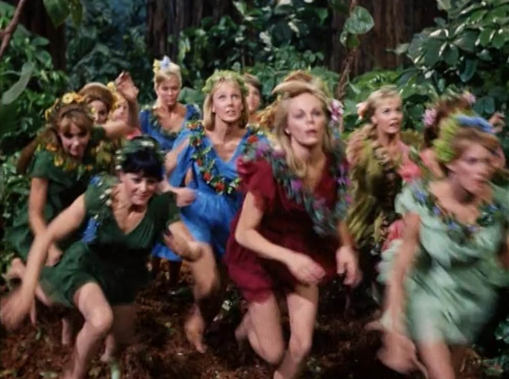 小びとの森の物語の画像