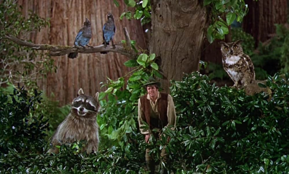 小びとの森の物語の画像