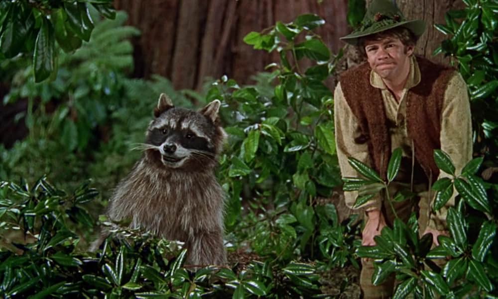 小びとの森の物語の画像