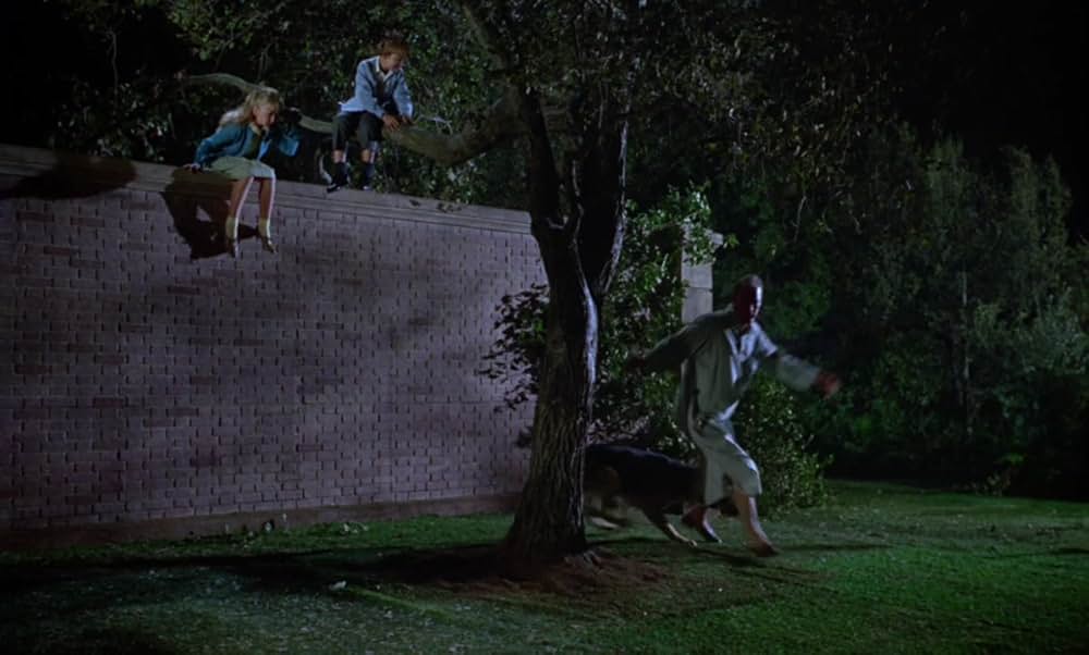 小びとの森の物語の画像