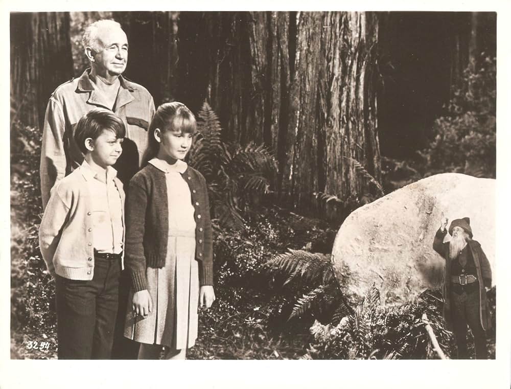 小びとの森の物語の画像