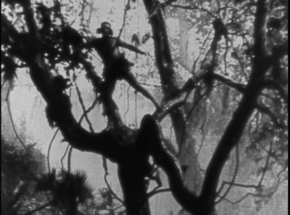 ターザンの画像