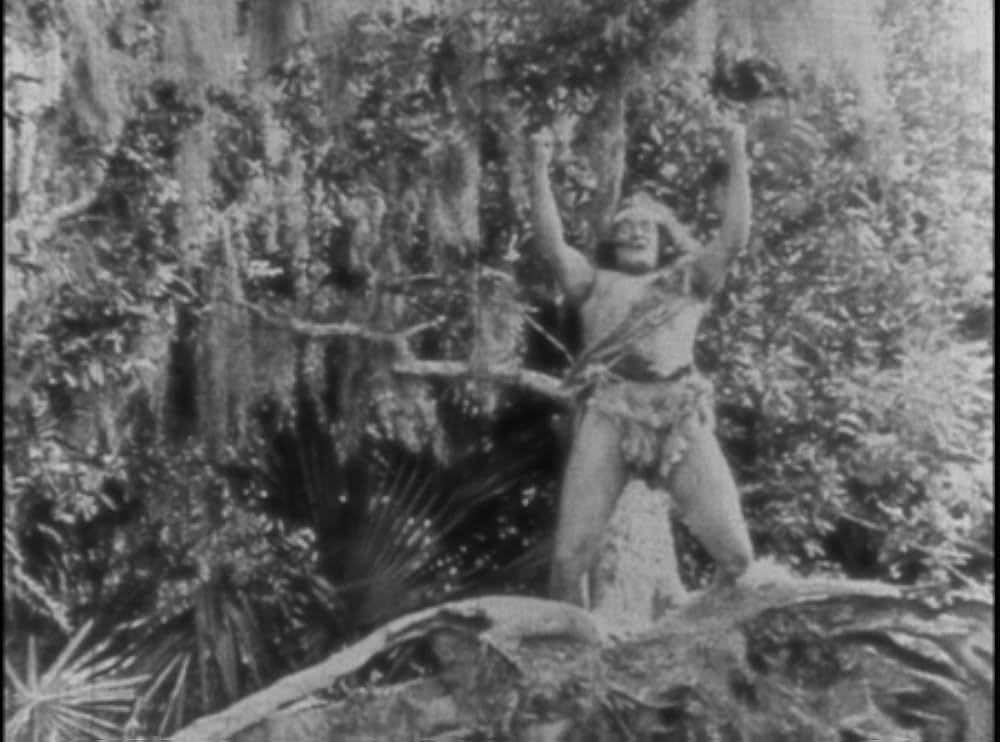 ターザンの画像