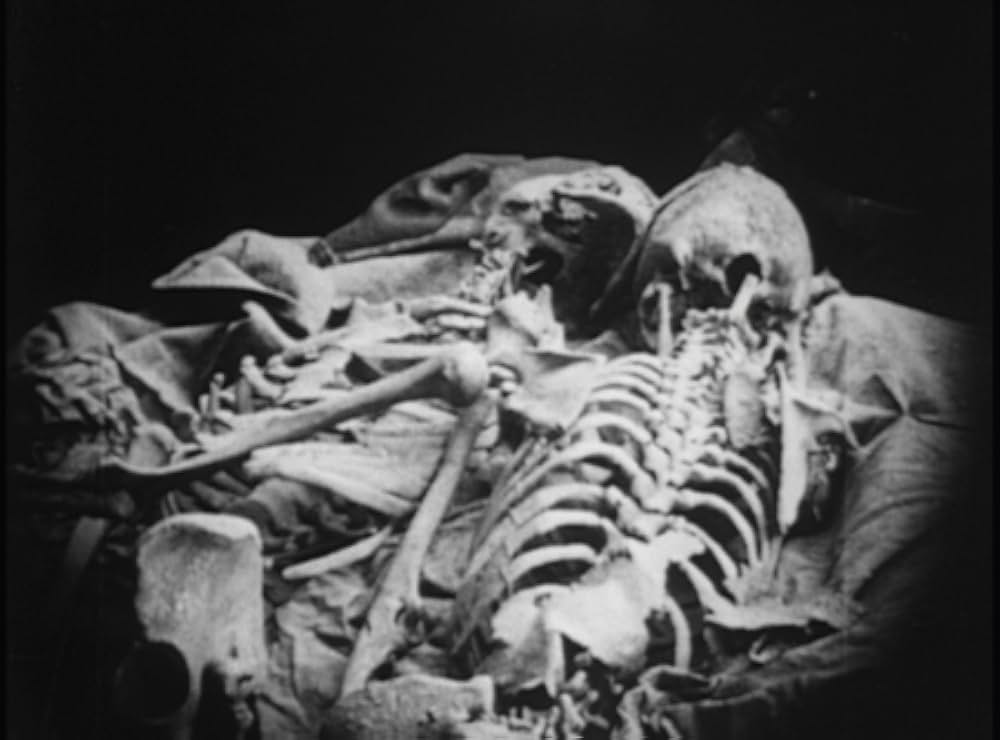 ターザンの画像