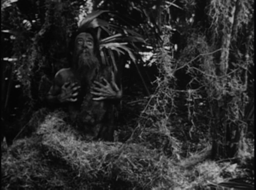 ターザンの画像