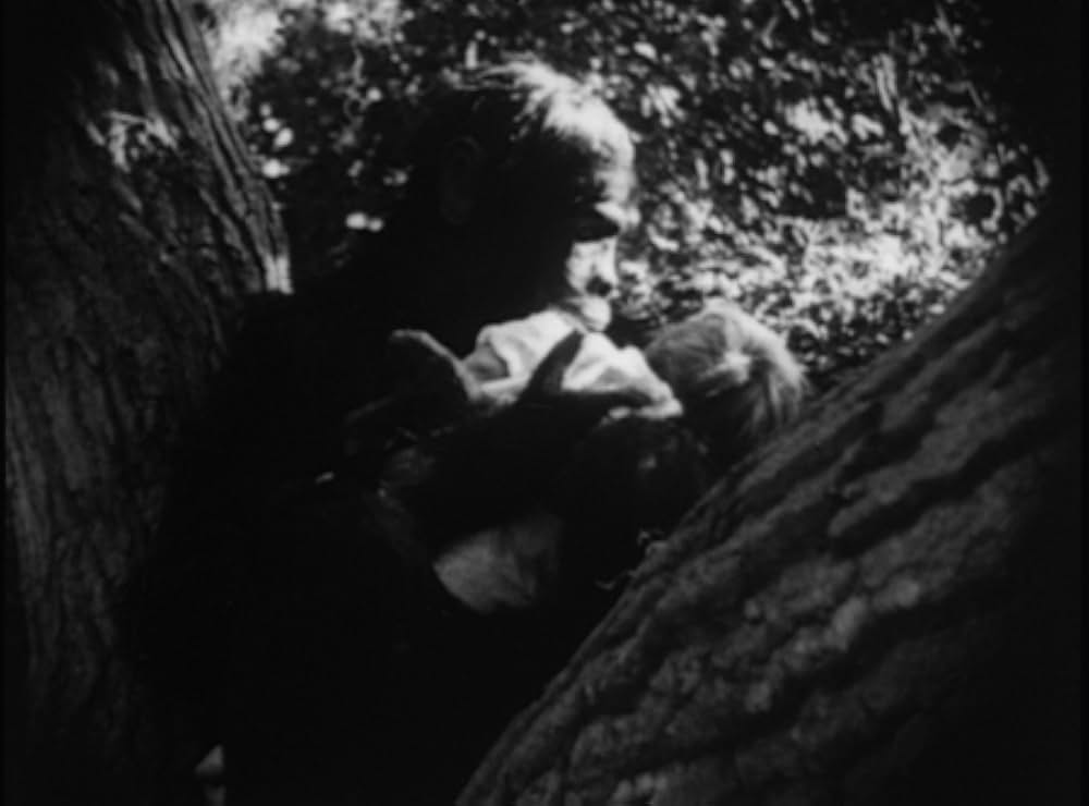 ターザンの画像