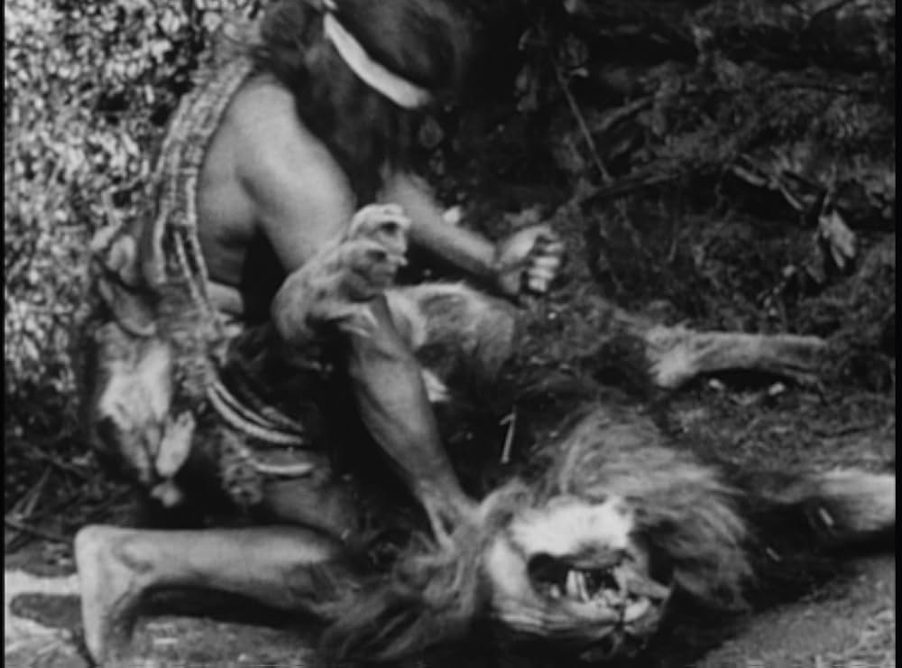 ターザンの画像