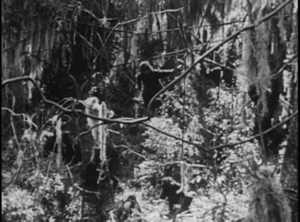 ターザンの画像