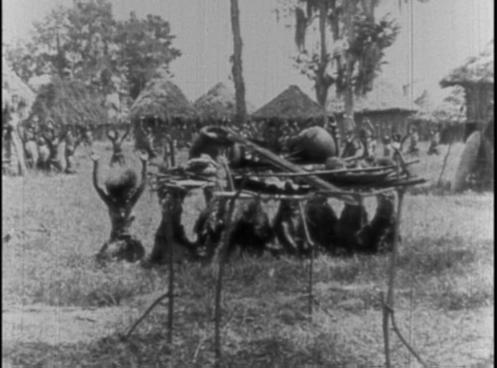 ターザンの画像