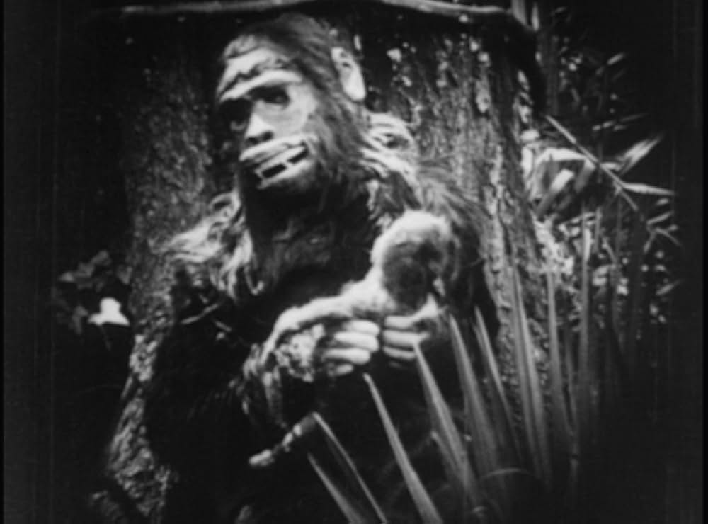 ターザンの画像