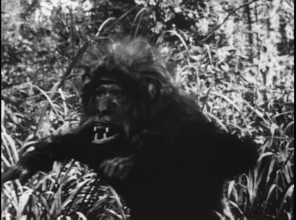 ターザンの画像