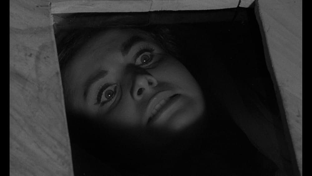 吸血鬼と踊り子の画像