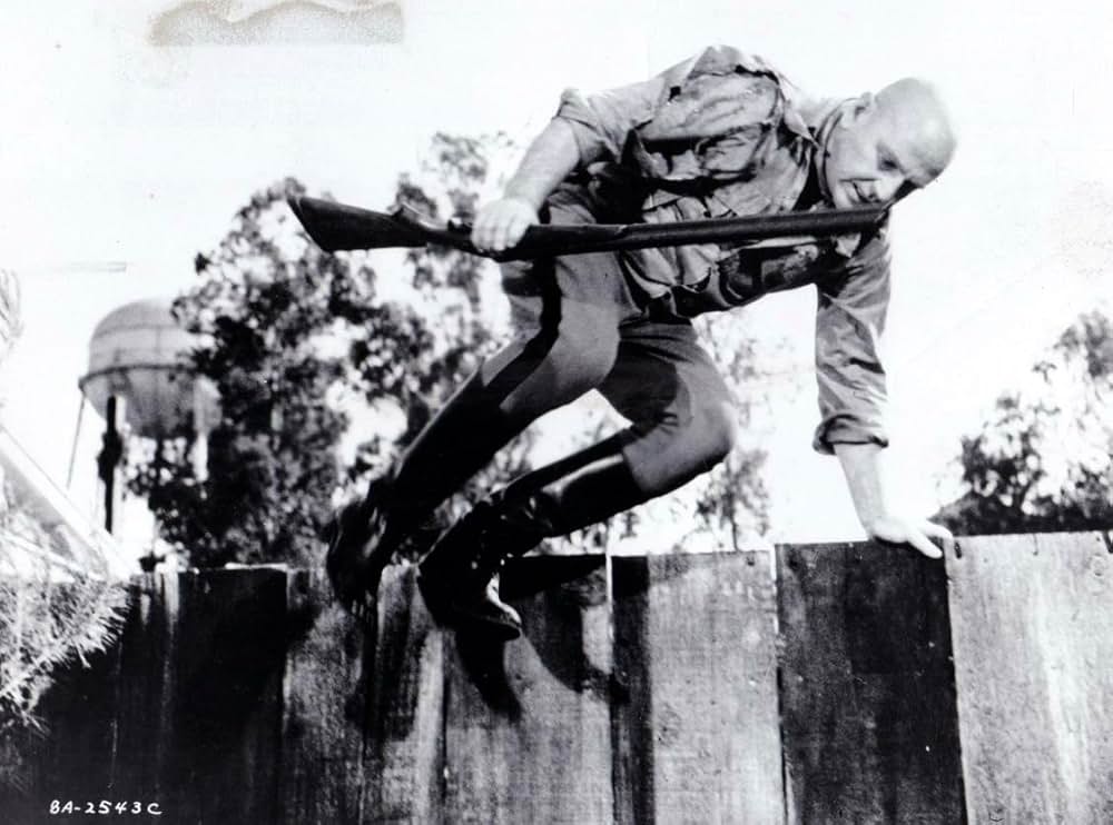 霧の中の虎の画像