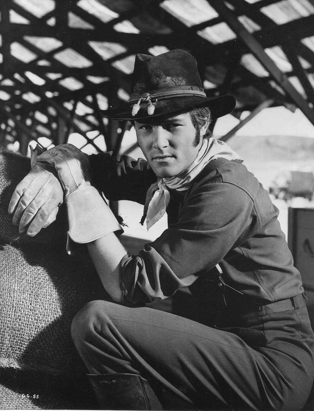 栄光の野郎どもの画像