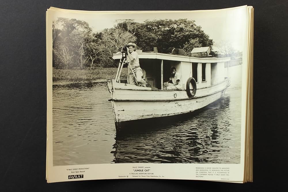 ジャングル・キャットの画像