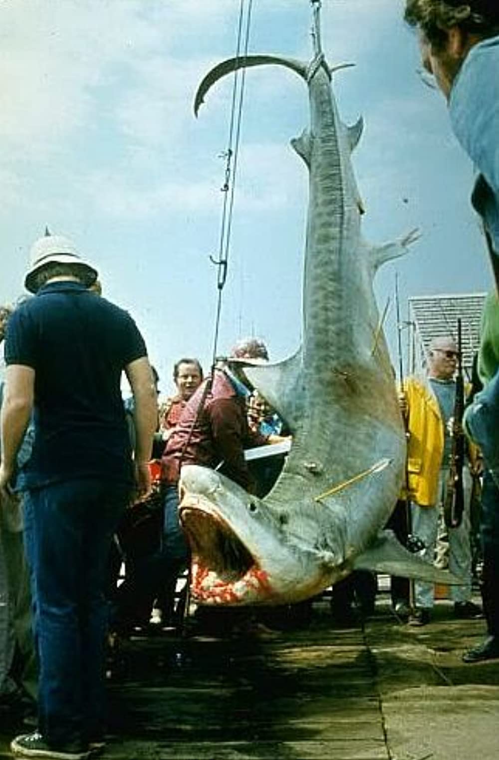 JAWS／ジョーズの画像