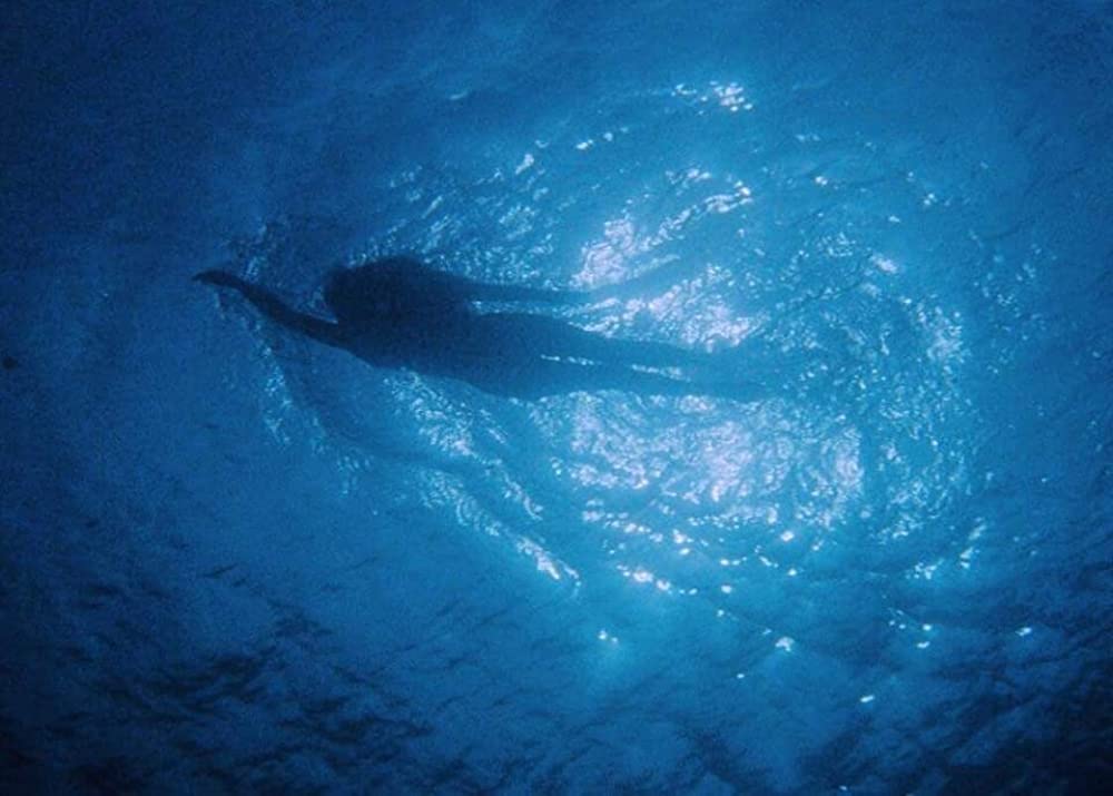 JAWS／ジョーズの画像