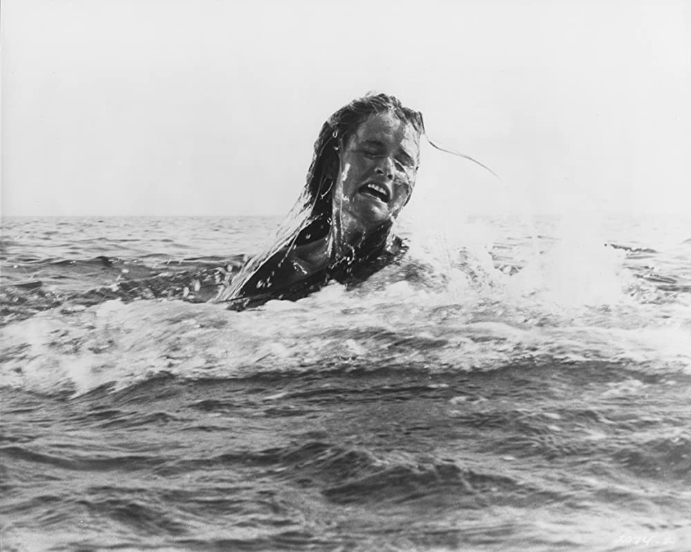 「JAWS／ジョーズ」スーザン・バックリーニの画像