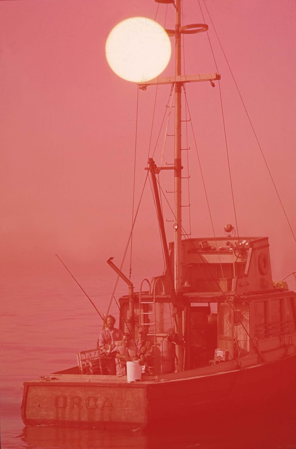 「JAWS／ジョーズ」の画像