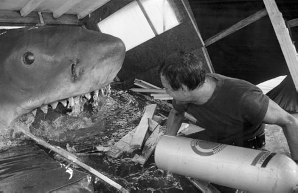 JAWS／ジョーズの画像