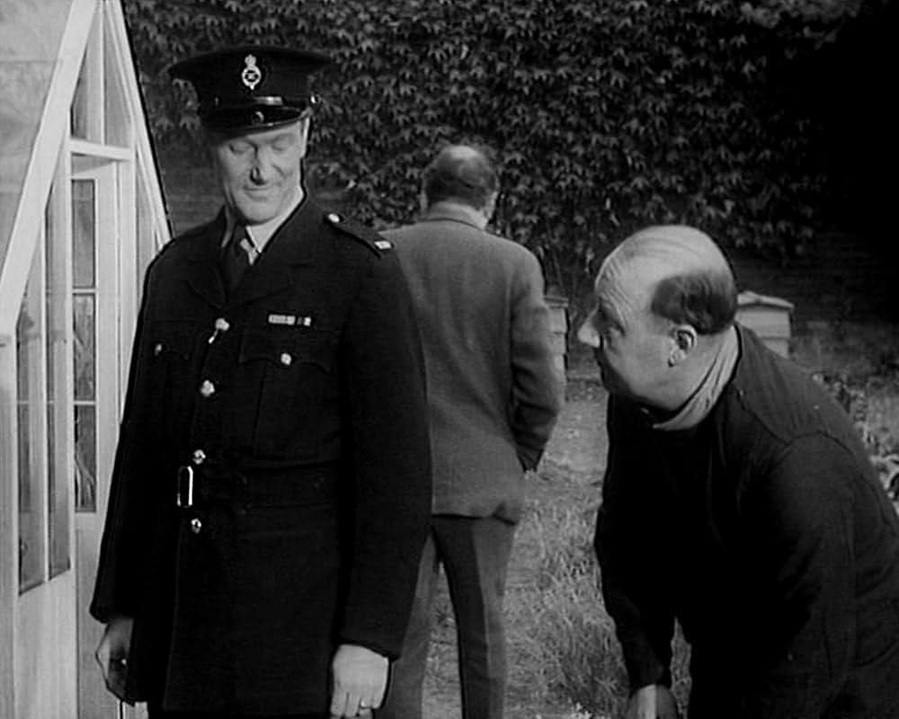 泥棒株式会社の画像