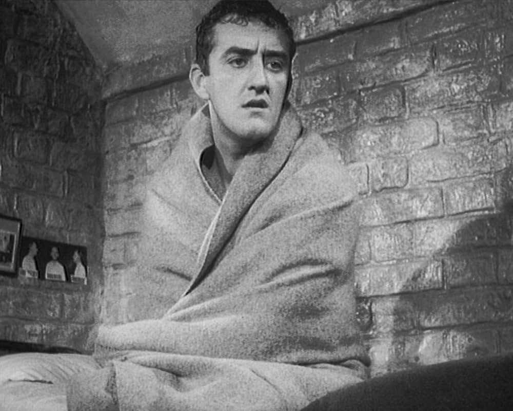 泥棒株式会社の画像