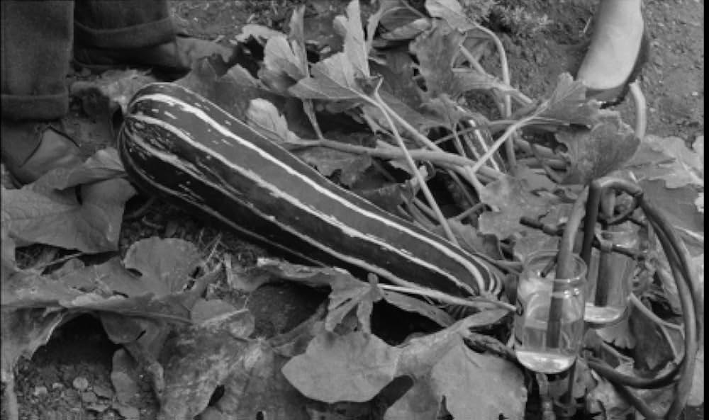 泥棒株式会社の画像