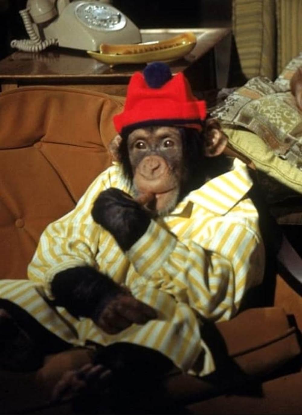 ハダシの重役の画像