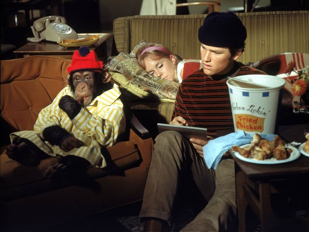 ハダシの重役の画像