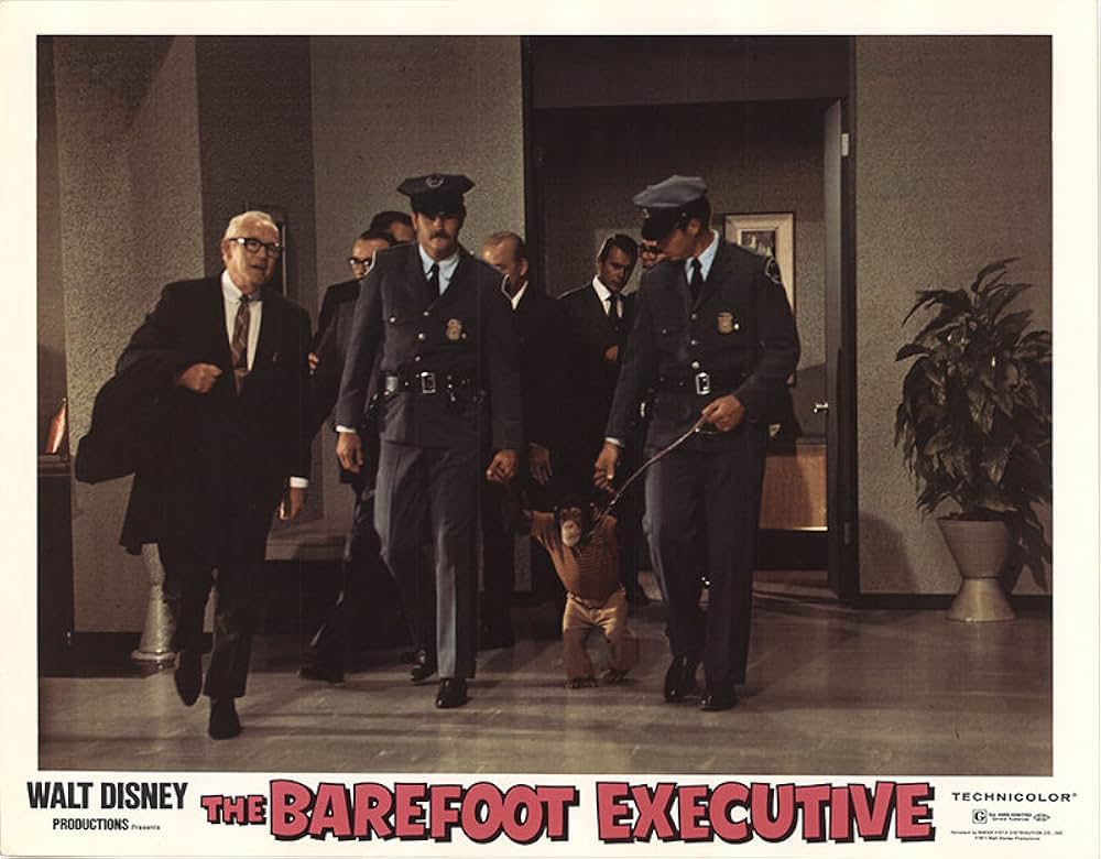 ハダシの重役の画像