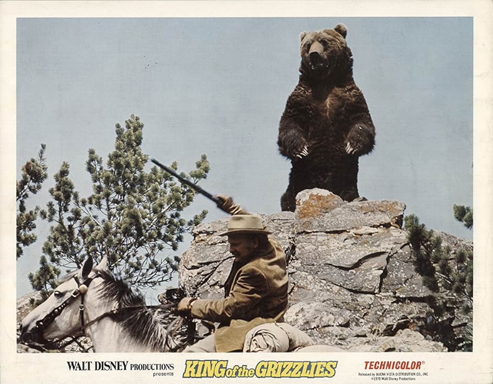 灰色グマの一生の画像