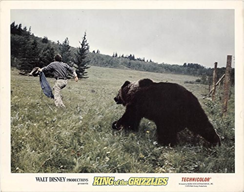 灰色グマの一生の画像