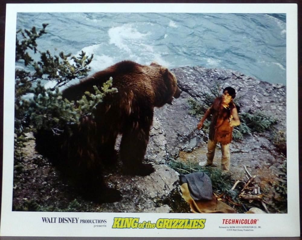 灰色グマの一生の画像