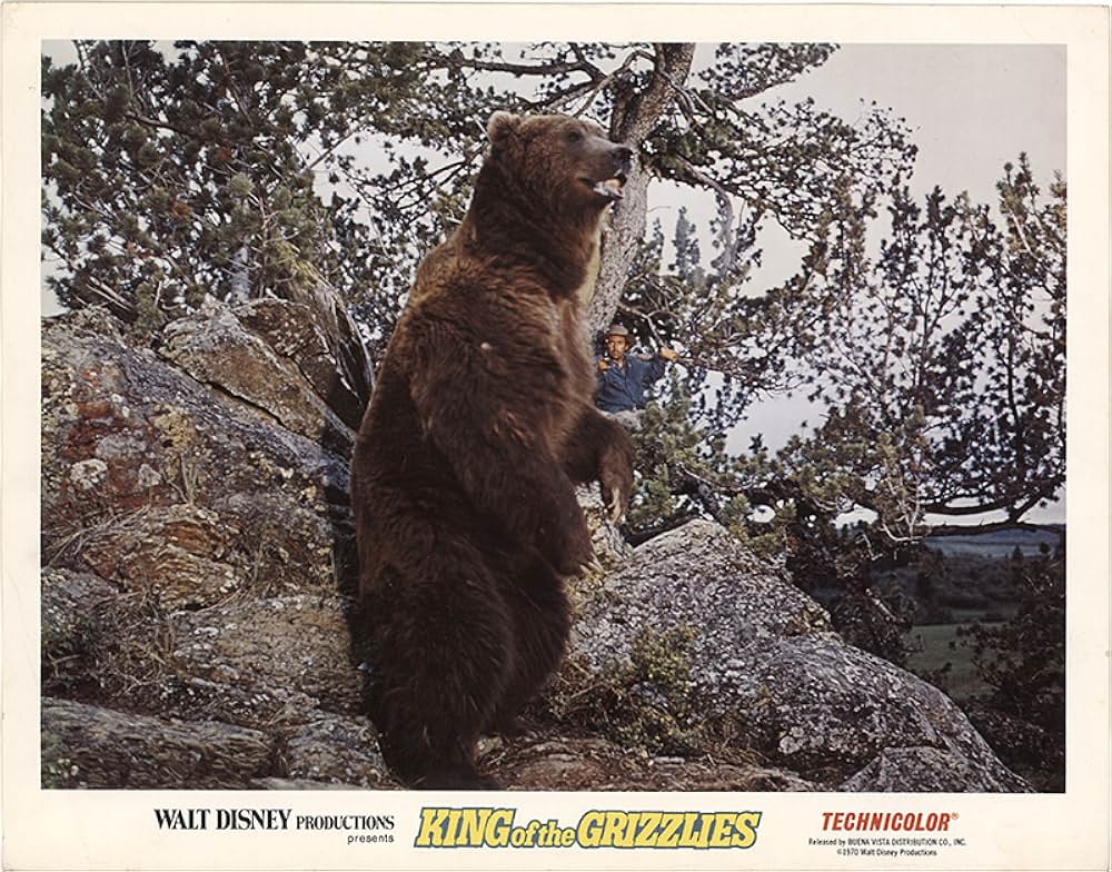 「灰色グマの一生」の画像