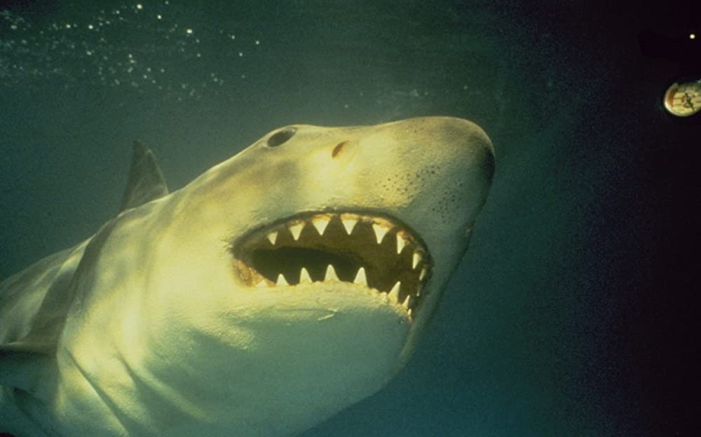 ジョーズ3の画像