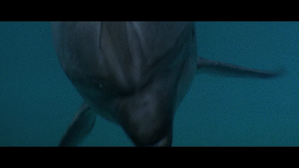「ジョーズ3」の画像