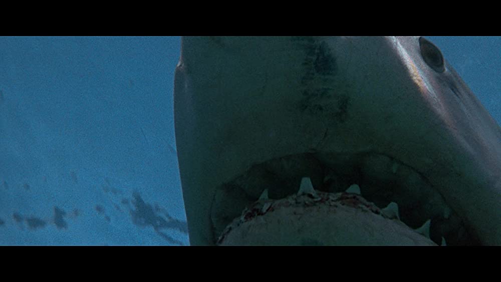 「ジョーズ3」の画像