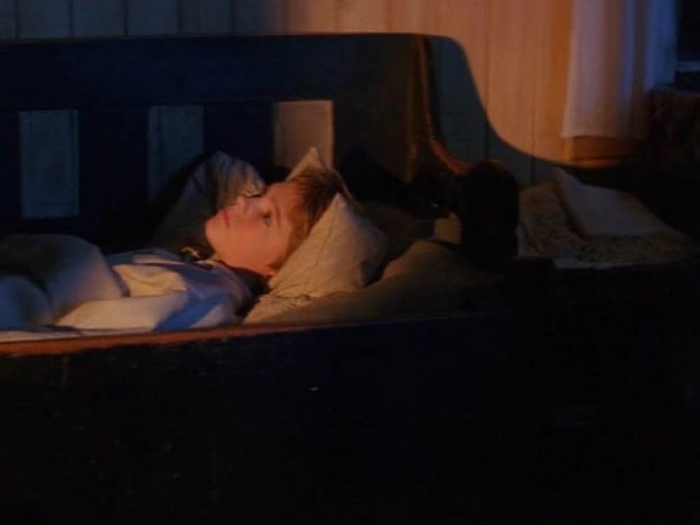 冒険の島／海賊メリックをやっつけろ！の画像